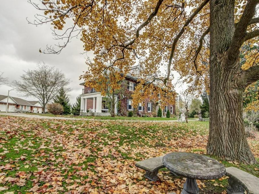 Clonmel Castle Hotel Порт Доувър Екстериор снимка